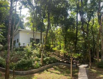 Forest Hideaway, Off-grid, Taguan Sa Tibanglan, Kalayaan (Foto 2)