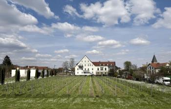 WeinZeit13 Wohlfuehlen an der Weinstrasse mit Sauna, Neustadt an der Weinstraße (foto 3)