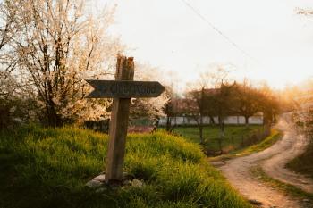 OberWood, Porumbacu de Sus (zdjęcie 2)