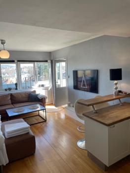 Frogner Gården Penthouse Terrasse, Oslo (foto 5)