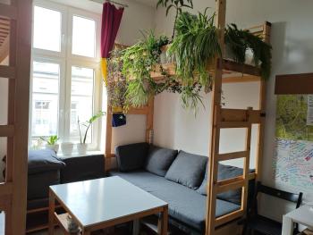 Evergreen Hostel Krakow, Cracovia (foto 4)