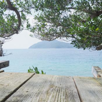海が目の前の秘境にある癒しの宿めぐりて, Setouchi (fotografie 5)