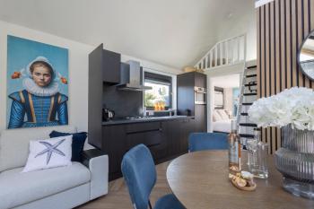 Tiny Wellness House in Heinkenszand with a private sauna, hottub, garden, airco, free wifi, boutique design and a luxury wellness experience, heinkenszand (photo 5)