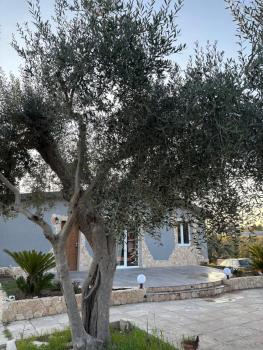 Villa Antezza, Matera (foto 2)