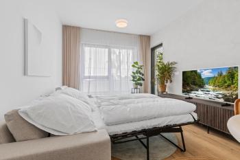LAM Serenity Free Parking - Balcony, Bratislava (fotografie 5)