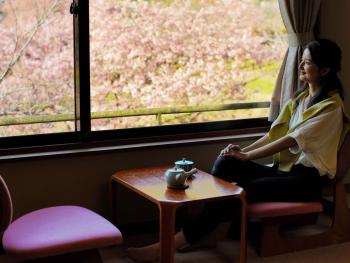 ホテル河内屋, Minamiizu (zdjęcie 4)
