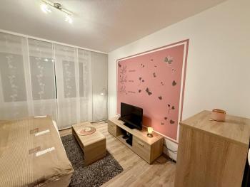 Woody Style Apartment near Langenhagen Airport, Hannover (fotografie 3)