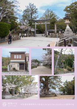 闘鶏の家, Tanabe (foto 4)