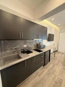 Pagrati Luxury Gray Studio-Chremonidou street, Atény (fotografie 2)
