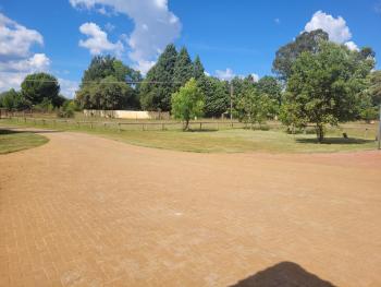 Beehive at Olds, Bloemfontein (foto 5)