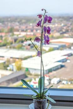 Luxury Media City Apartment Salford, Manchester (photo 4)