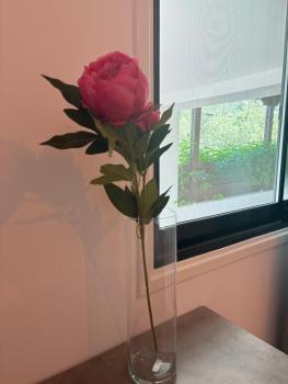 FLH - Feel Like Home Modern 1-Bedroom Ground floor Apartment in Strovolos, Kato Lakatamia (Foto 4)