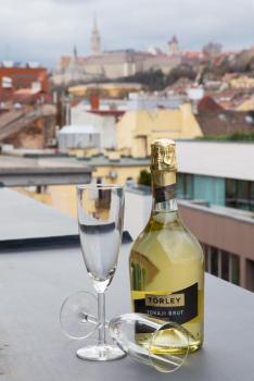 Hotel Regnum Residence, Budapest (photo 5)