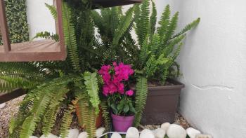 Casa rural Carmela axarquia, Málaga (photo 5)