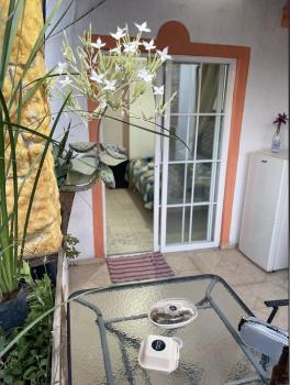 Apartment with terrace near downtown, San Miguel de Allende (foto 4)