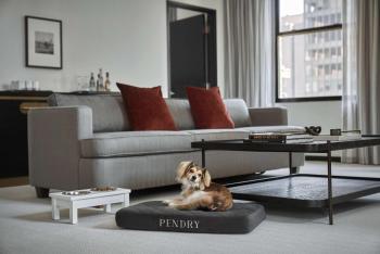 Pendry Chicago, Chicago (Foto 4)