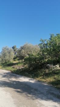 روابي عجلون منزل, Ajlun (foto 2)