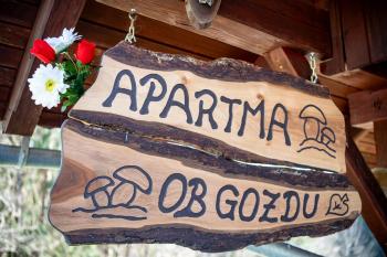 Apartment By The Forest, Zgornje Gorje (fotografie 5)