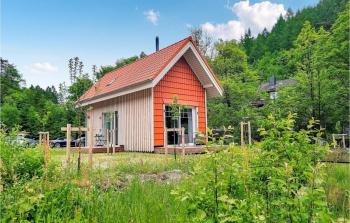 Harz-Tiny DAN291, Wildemann (photo 5)