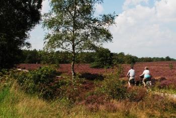 Verblijf in de Veluwe met Privé sanitair LL54, Putten (fotografie 5)
