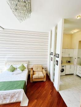 Cozy Apt in the Heart of theCity, Baku (foto 5)