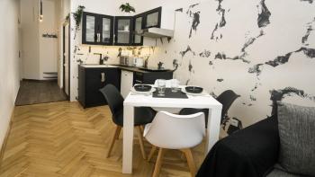 Black & White Apartment Prague by Wenceslas Square and Muzeum, Praha (fotografie 2)