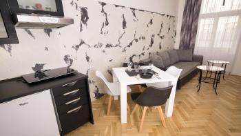 Black & White Apartment Prague by Wenceslas Square and Muzeum, Praha (fotografie 5)