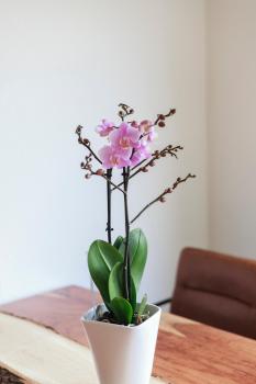 City Flat, Hannover (foto 3)