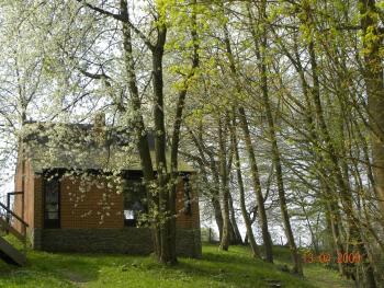 Havane13, Hastière-par-delà (Foto 2)