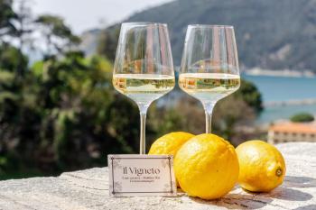 Il Vigneto, Moneglia (fotografie 2)