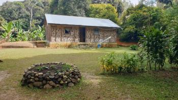Ngut Tours and Lodge, Ogelbeng (zdjęcie 2)