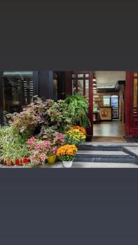 Hotel Livia, Tirana (fotografie 4)