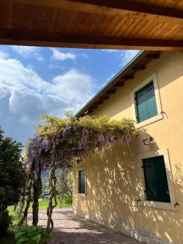 Villa in Valpolicella, San Pietro in Cariano (foto 5)