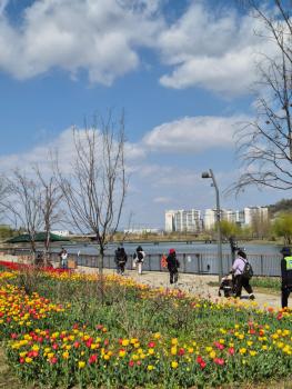 Staylim - Seoul Botanic Park, Airport, Seoul (photo 5)