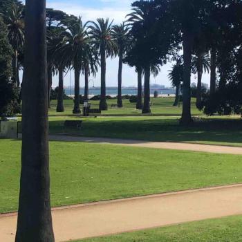 Beachfront & access to all St Kilda has to offer, Мельбурн (фото 5)