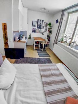 Beautiful apartment in Helsinki, Helsinki (foto 2)