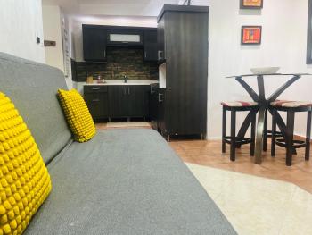 The Interior Loft in San Juan, San Juan (fotografie 4)