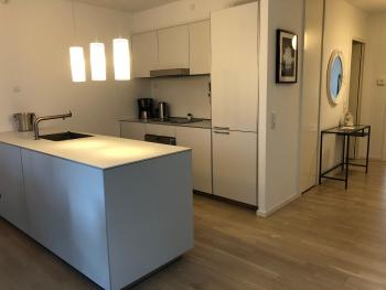 1 bedroom Copenhagen Designer Flat, Kodaň (fotografie 2)