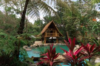 Forest Camp, Valencia (foto 2)