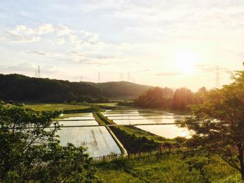 銭がめ, Kanazawa (foto 3)