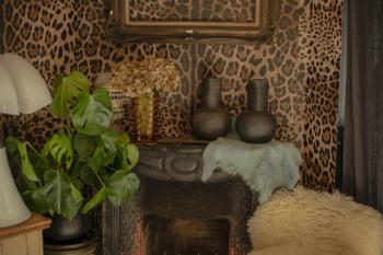 Cozy vintage house with pool in Cimiez, Nice (photo 3)