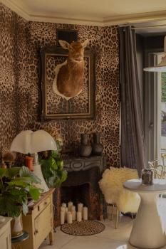 Cozy vintage house with pool in Cimiez, Nice (photo 4)
