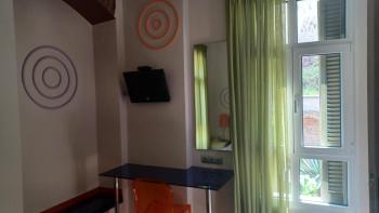 Room frog in a neoclasical house, Kastoria (photo 3)