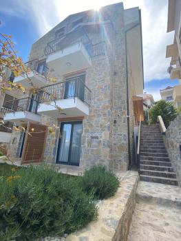 olives tree, Datça (fotografie 4)