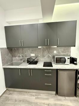 Pagrati Luxury Gray Studio-Chremonidou street, Atény (fotografie 3)