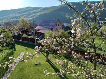 Приватна садиба Яблуневий сад 1, Yaremche (photo 5)