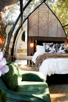 De Nest - Clear Glass Tree Cabin, Montagu (fotografie 4)