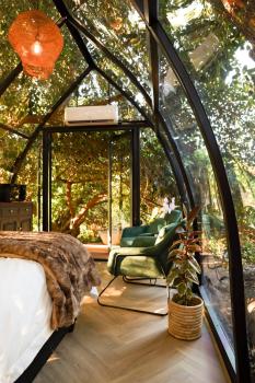 De Nest - Clear Glass Tree Cabin, Montagu (fotografie 5)