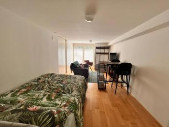 Studio 57 - two bus stops or 15 minutes walking distance to ESC event, Basilej (fotografie 2)