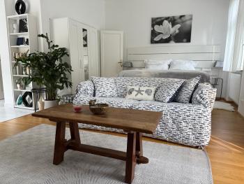 Superb Studio with 40 sqm Terrace in the Greens of Buda City Centre, Budapest (photo 3)